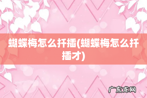 蝴蝶梅怎么扦插才 蝴蝶梅怎么扦插