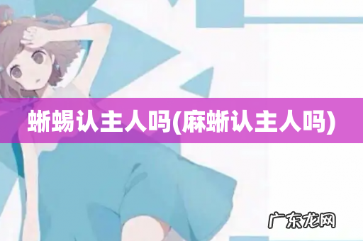 麻蜥认主人吗 蜥蜴认主人吗