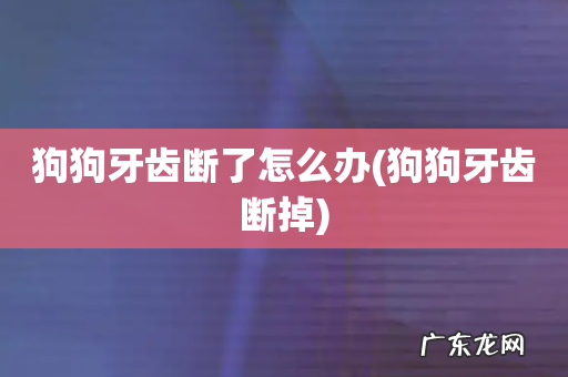 狗狗牙齿断掉 狗狗牙齿断了怎么办