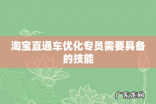 淘宝直通车优化专员需要具备的技能