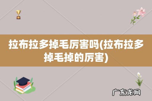 拉布拉多掉毛掉的厉害 拉布拉多掉毛厉害吗