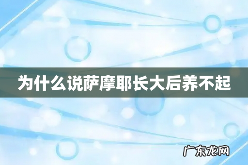 为什么说萨摩耶长大后养不起