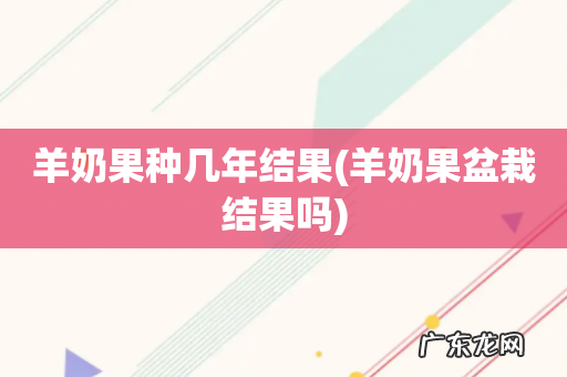 羊奶果盆栽结果吗 羊奶果种几年结果