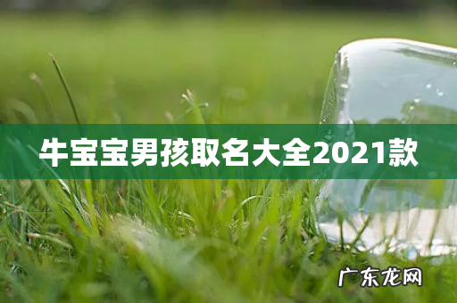 牛宝宝男孩取名大全2021款