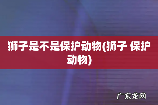 狮子 保护动物 狮子是不是保护动物