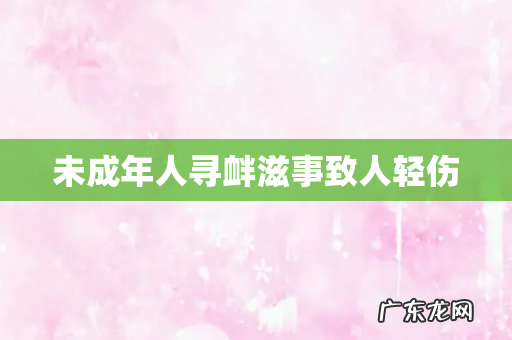 未成年人寻衅滋事致人轻伤