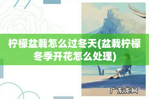 盆栽柠檬冬季开花怎么处理 柠檬盆栽怎么过冬天