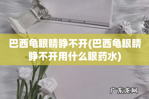 巴西龟眼睛睁不开用什么眼药水 巴西龟眼睛睁不开