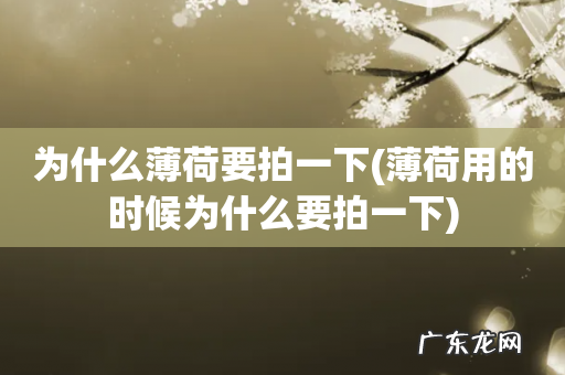 薄荷用的时候为什么要拍一下 为什么薄荷要拍一下