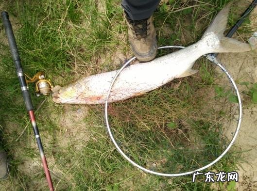 从来何处觅仙踪猜字谜 寻字觅踪谜底答案