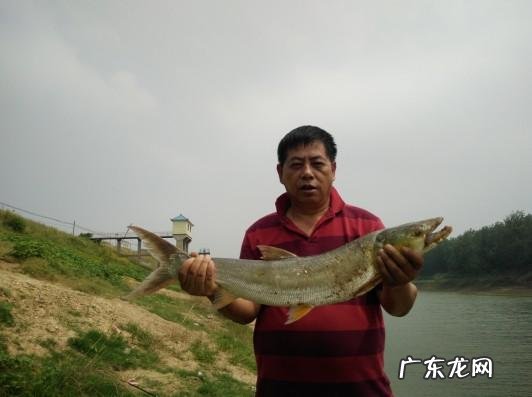 从来何处觅仙踪猜字谜 寻字觅踪谜底答案