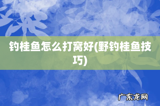 野钓桂鱼技巧 钓桂鱼怎么打窝好