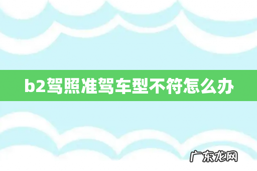 b2驾照准驾车型不符怎么办