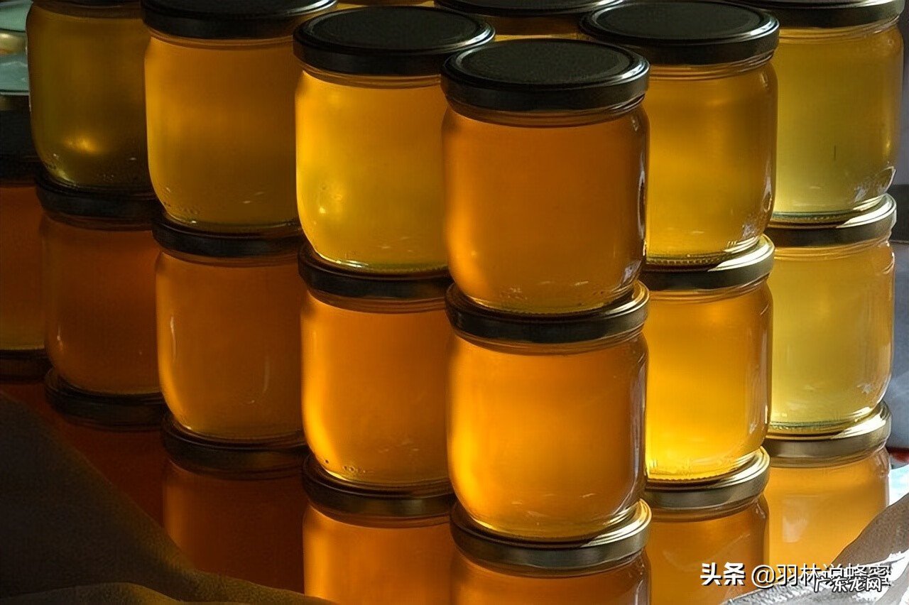 蜂蜜水什么时候喝最合适 夏天蜂蜜水什么时候喝好