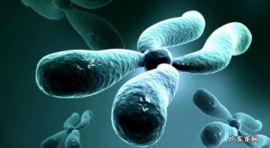 什么原因导致的面瘫 面瘫的病因病理