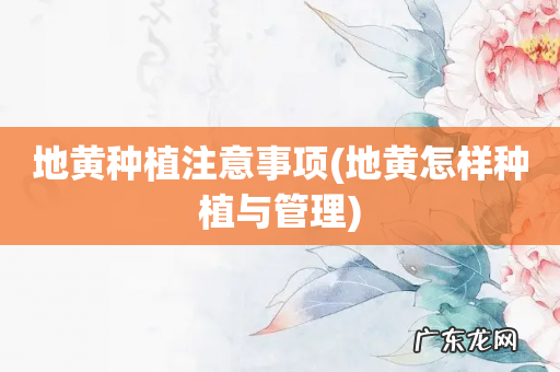 地黄怎样种植与管理 地黄种植注意事项