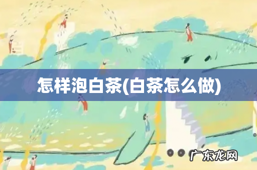 白茶怎么做 怎样泡白茶
