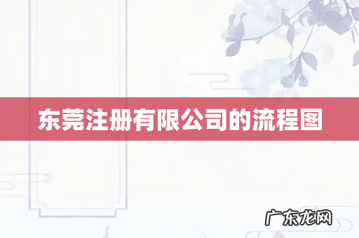 东莞注册有限公司的流程图