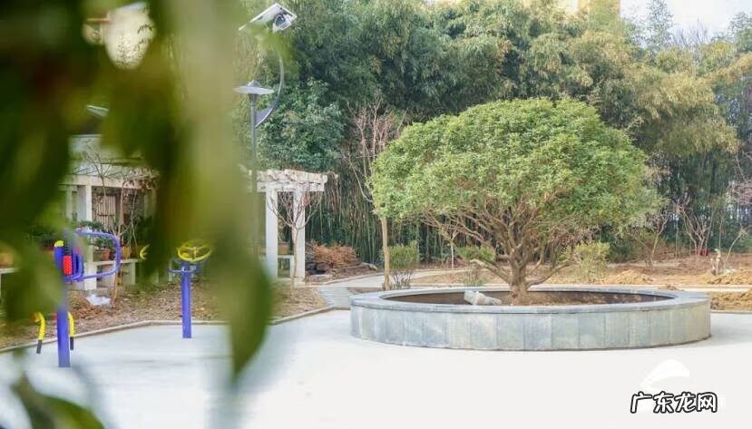 高层包围的洋房风水 东港的房子