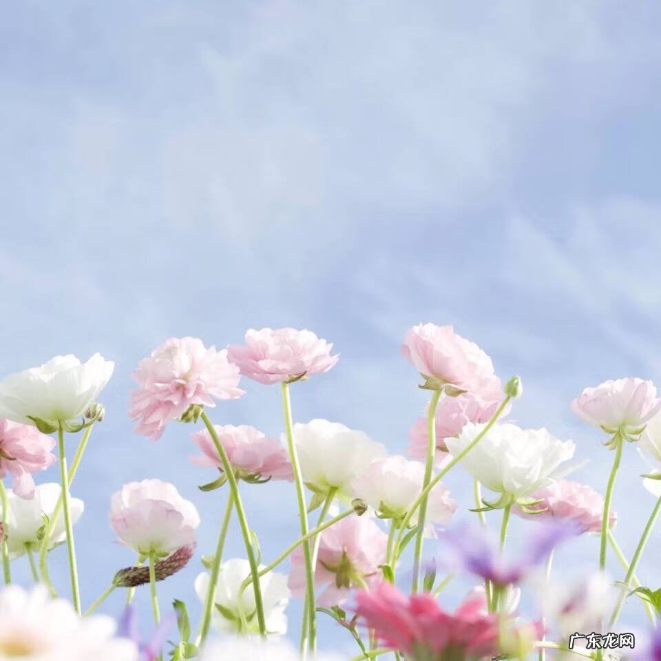 贵人运怎么求 怎么走贵人运