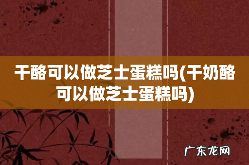 干奶酪可以做芝士蛋糕吗 干酪可以做芝士蛋糕吗