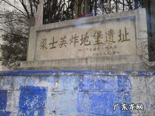 下列中立生物中不属于五军对决的是