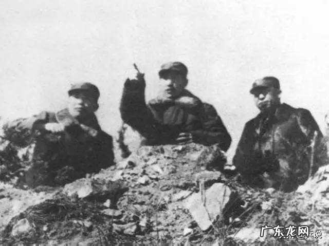 下列中立生物中不属于五军对决的是