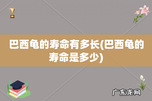 巴西龟的寿命是多少 巴西龟的寿命有多长