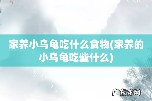 家养的小乌龟吃些什么 家养小乌龟吃什么食物