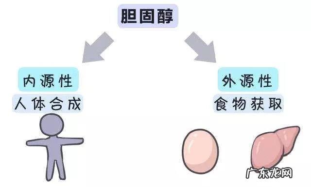 总胆固醇高怎么引起的 总胆固醇高是什么原因引起的