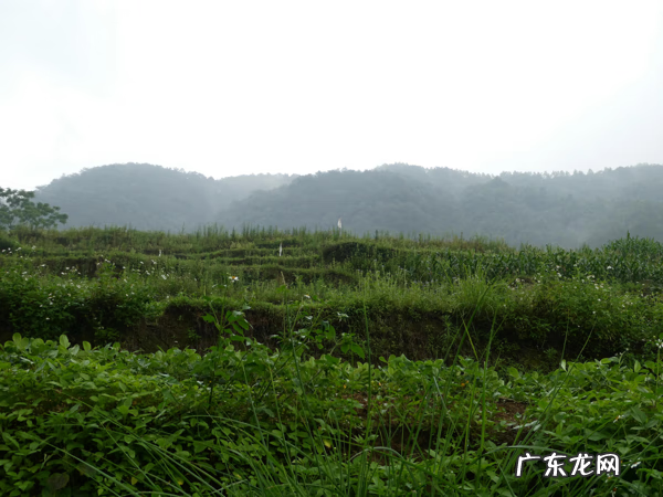 最好的风水宝地视频 佛子湾风水宝地