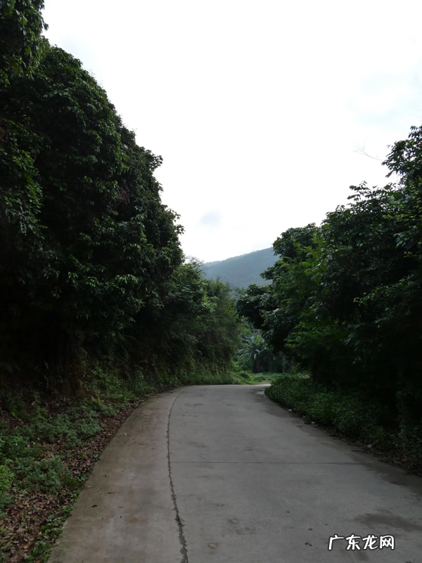 最好的风水宝地视频 佛子湾风水宝地