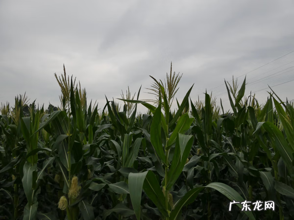 最好的风水宝地视频 佛子湾风水宝地