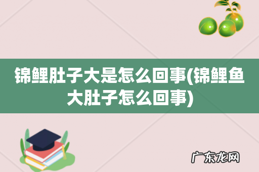 锦鲤鱼大肚子怎么回事 锦鲤肚子大是怎么回事
