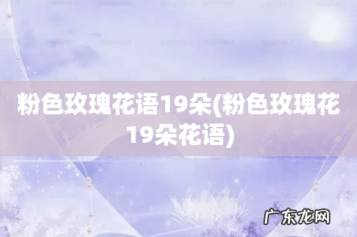 粉色玫瑰花19朵花语 粉色玫瑰花语19朵