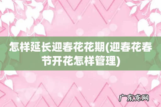 迎春花春节开花怎样管理 怎样延长迎春花花期