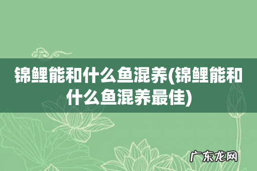 锦鲤能和什么鱼混养最佳 锦鲤能和什么鱼混养