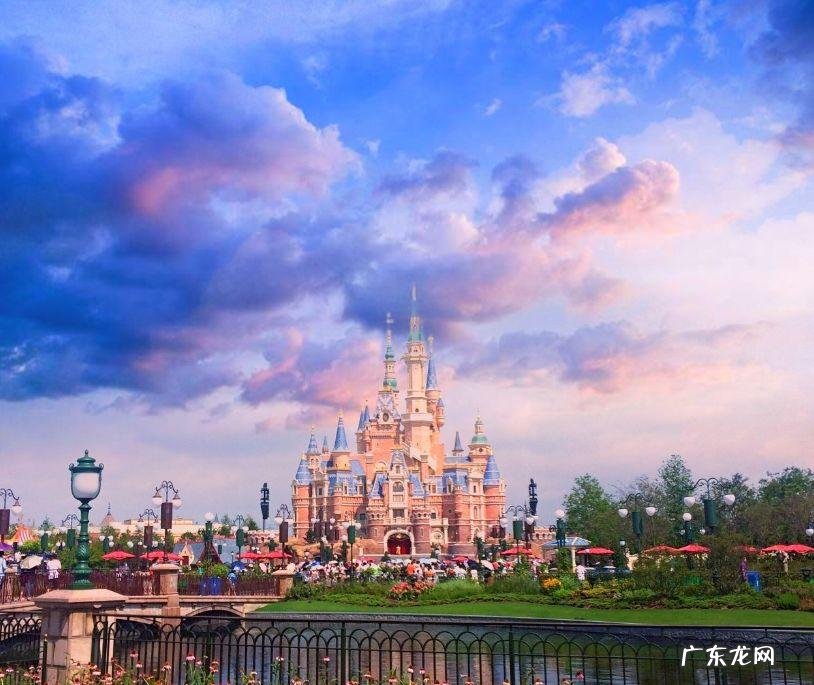 摩尔庄园毛毛菇菜谱研究 摩尔庄园毛毛菇炒蛋怎么做?