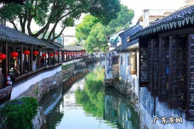 摩尔庄园毛毛菇菜谱研究 摩尔庄园毛毛菇炒蛋怎么做?