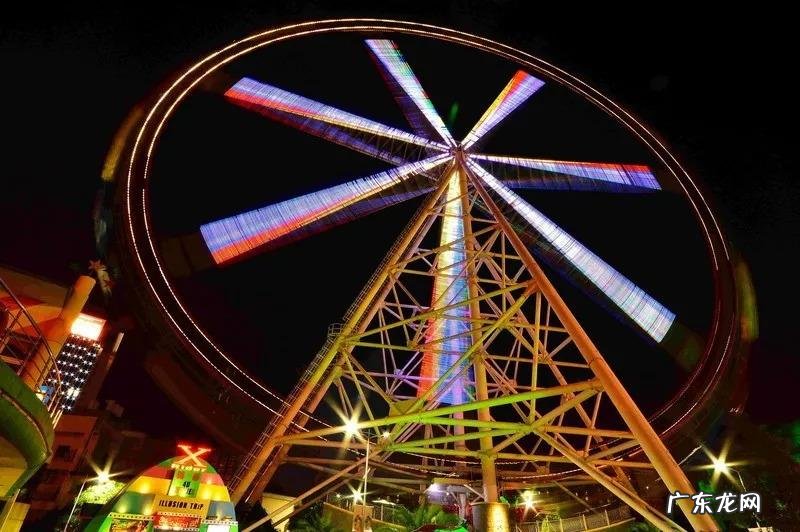 摩尔庄园毛毛菇菜谱研究 摩尔庄园毛毛菇炒蛋怎么做?