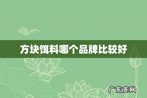 方块饵料哪个品牌比较好