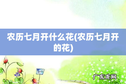 农历七月开的花 农历七月开什么花