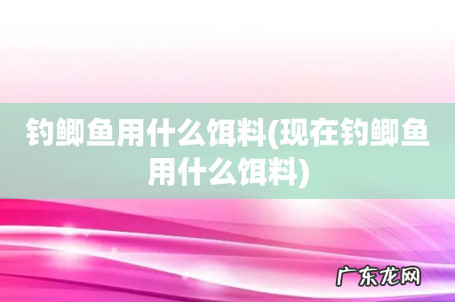 现在钓鲫鱼用什么饵料 钓鲫鱼用什么饵料