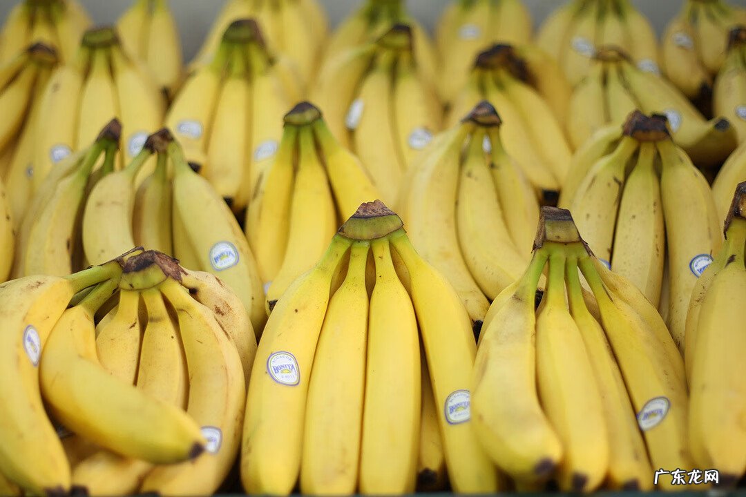 养胃的食物和水果 养胃护胃水果