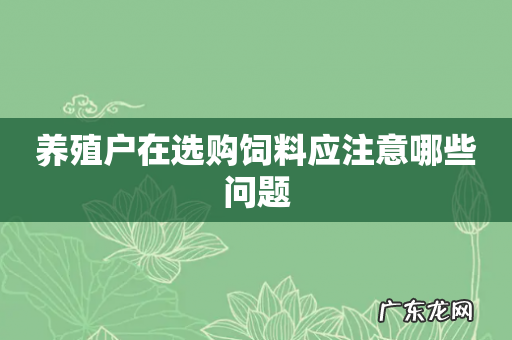 养殖户在选购饲料应注意哪些问题