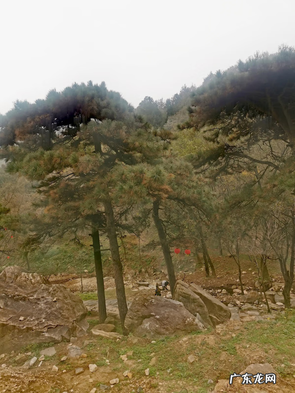 方城大乘山 方城大乘山风景区