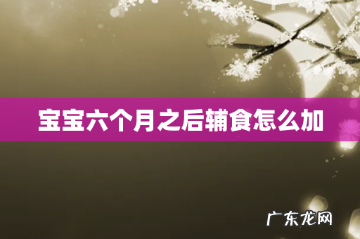 宝宝六个月之后辅食怎么加