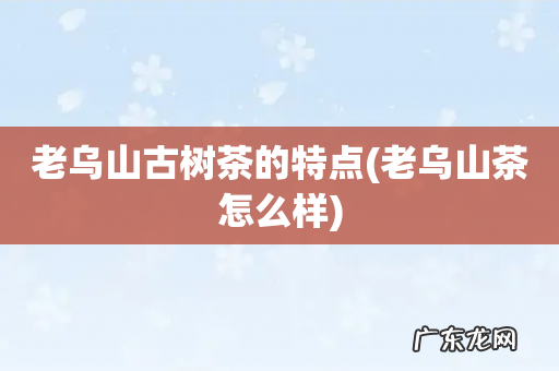 老乌山茶怎么样 老乌山古树茶的特点