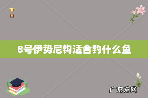 8号伊势尼钩适合钓什么鱼