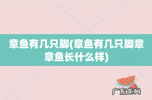 章鱼有几只脚章章鱼长什么样 章鱼有几只脚